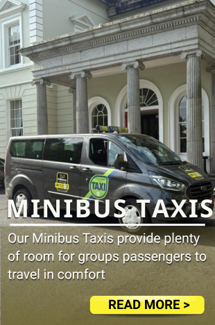 MINIBUS TAXIS